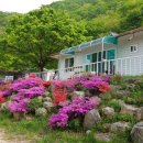 성주 산그늘펜션 이미지