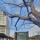 면목동-213 이미지