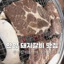 안양교도소 | 안양 돼지갈비 맛집 풍년갈비&amp;장어 호계점 가족모임 점심특선