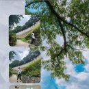 🟣tv조선 내몸을 살리는발견 유레카 🔵방송 2026년9월6일 🟡시간: 오전7시30분 ＜배우이주화건강. 가족이야기＞ 이미지