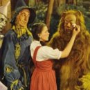 세종 오즈 이미지