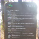 초록숲 이미지