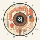 법인홍채