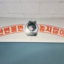 늑대영어학원