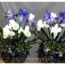 시들지 않는 LED플라워 공예 이미지