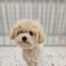 반자주 진해점 이미지