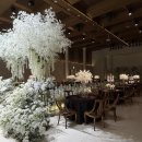 호텔 ICC | w 1. 웨딩홀 | 대전 라도무스 &amp; 호텔 ICC &amp; 루이비스 투어 후기 (계약 O)