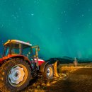 신호농장 이미지