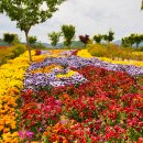 요산공원 이미지