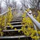 조코모텔 이미지