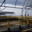 홍성도매낚시 이미지