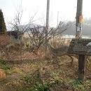 장전리마을회관 이미지