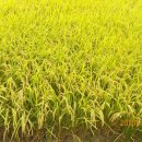 삼덕농장 이미지