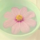 봉천 한의원 이미지