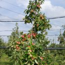 성원농장2 이미지