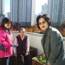 고참경로당 네이버블로그
