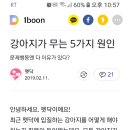 강아지가 무는 이유 이미지