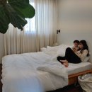 제제게스트하우스 이미지