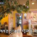 주식회사 대신 이미지