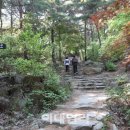 용봉산자연휴양림 이미지