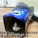 카스멜