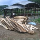 소나무황토집 이미지