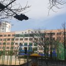 박지영 알프하임 공인중개사사무소 | 공인중개사추천 호평동부동산 믿고계약할수있는부동산 호평동 새벽부동산 방문후기