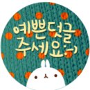 (급매) 원주시 신림면 황둔 - 200평 전원주택지 (잘 생긴 땅) 5,800만원 이미지