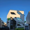 11545-11-77-20 | [포르투갈 워홀] D+73~77 포르투 첫 영화관 방문, Parque da Cidade 피크닉, 새벽 나방 소동