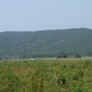 애월다래네 이미지