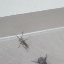 여주-0309 네이버블로그
