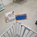 오븐앤도그 이미지