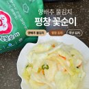 꽃순이 | 평창꽃순이 양배추 물김치 후기/티글 최저가+쿠폰으로 알뜰구매!