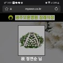 조의)김진복의 빙모 故정연순님이 별세하셧습니다 이미지