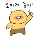 KT | 잠실맛집 '콘타이 송파kt점' 솔직후기