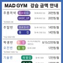 매드짐 이미지