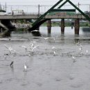 MK공인중개사사무소 이미지