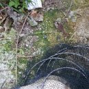 어의곡낚시터 이미지