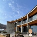 성지애견 이미지