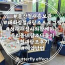 씨유 울산삼호철새공원점 | 울산 철새홍보관 태화강 철새탐조 프로그램 후기