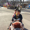 남양주 힘찬 태권도장 네이버블로그