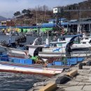 고성수산횟집 이미지