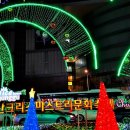 부산 크리스마스트리 문화축제 이미지