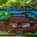 사선대야영장 이미지