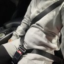 임산부 안전벨트 꼭 필요해요 세이프마마 임산부 안전벨트 사용 솔직 후기