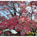 순천매산여자고등학교 이미지