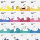 나의 강아지 이미지