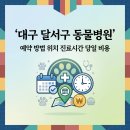 이솝동물병원 | 대구 달서구 동물병원 예약 방법 위치 진료시간 당일 비용