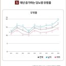 블루션 이미지