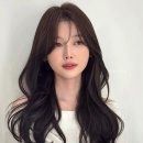 메종드웨이브4